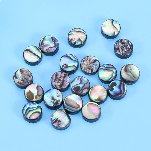 Pcs abalone shell - 20,