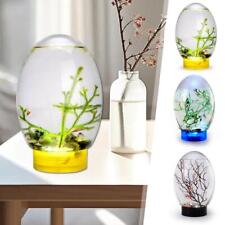 Mini Small Desktop Aquarium Glass Fish Tank Eco Aquarium Amphibious'`,.,,,