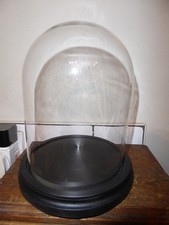 Glass Display Dome Bell Jar Cloche Wooden Base Figure Action Gift Table Decor