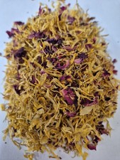 Cosy Tortoises 2 Flower Mix