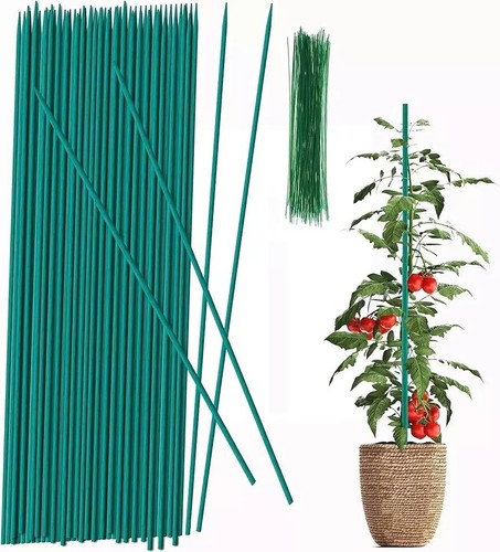 Green plant flower - plant, bamboo