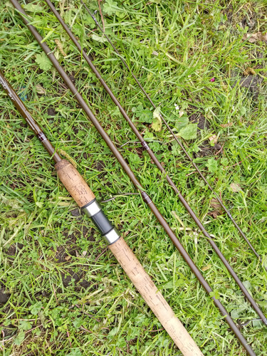 Daiwa trueflight 10ft - daiwa, st