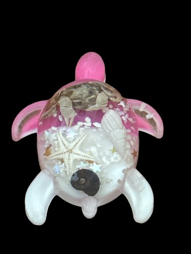 Magnet turtle sea life - life,