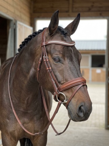 Brown comfort leather horse - leather,