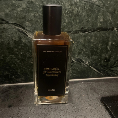 Lush the perfume library - lush,