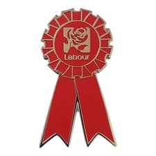 The Labour Party Politics