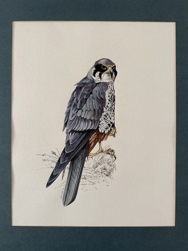 Original derek oliver - original,