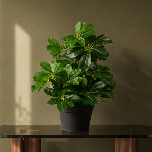 Artificial dark green - artificial,
