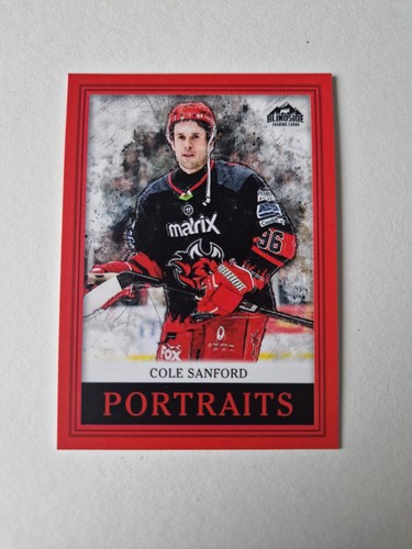 Cardiff devils blindside - cardiff,