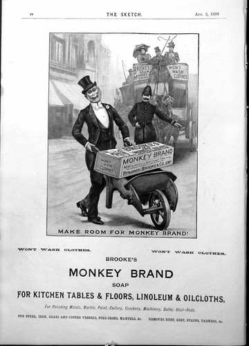 Antique print brookes monkey - antique,