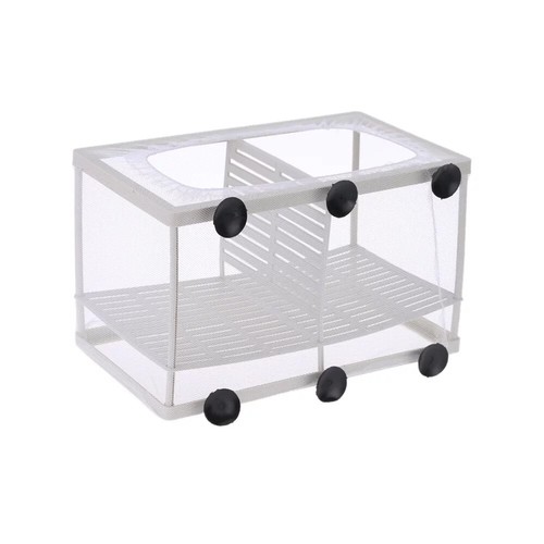 Aquarium fish tank - aquarium,