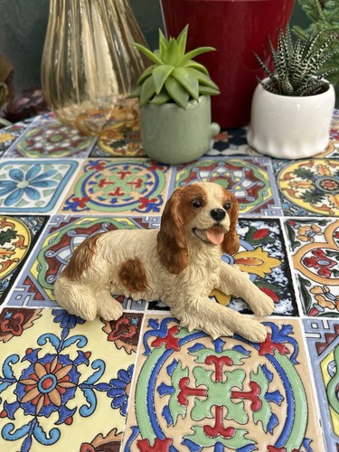 Castagna cavalier king charles - castagna,