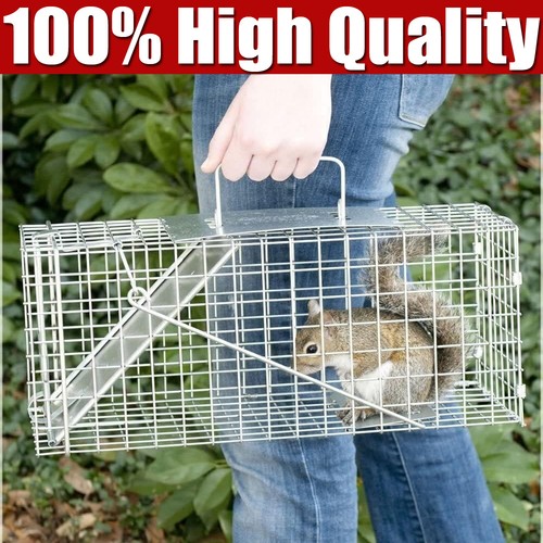 Squirrel rat trap metal - /,