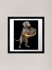 Weimaraner Playing French Horn