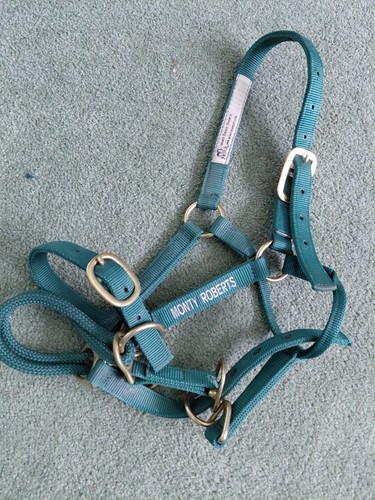 Monty roberts dually - monty,