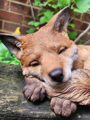 Sleeping baby fox vivid - baby,