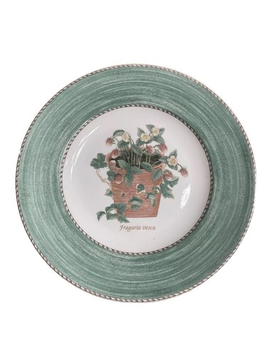 Fragaria vesca salad - fragaria, plate