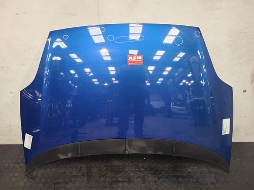 Fiat punto evo - 2011, bonnet