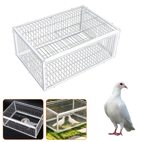 Pigeon trap cage single - pigeon,