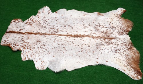 Luxury goat hide rug hair - goat,