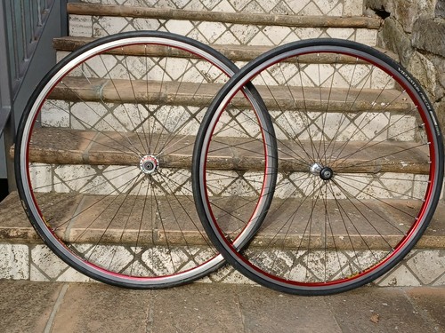Wilier triestina alpina wind - alpina,
