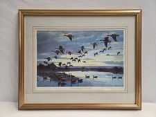 Peter Scott Royal Doulton