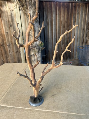 Manzanita driftwood branch - manzanita,
