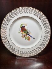Decorative Bird Plate - LIVERPOOL ROAD POTTERY Stoke On Trent