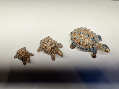 Turtles wade - 3,