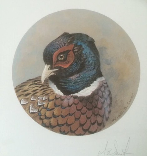 Prints pheasant partridge b - prints,