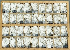 18pt Dorchester Script -