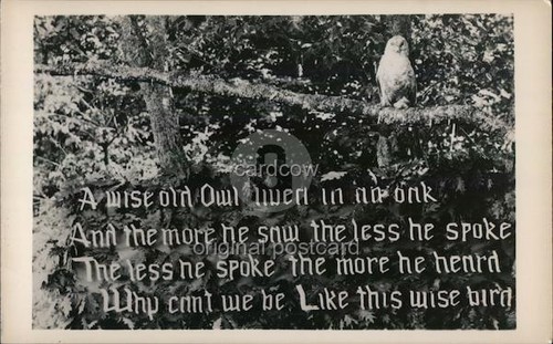 Phrases owl poem edward - phrases,