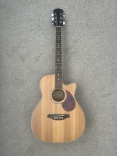 Freshman FA1AN Cutaway Electro