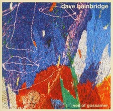 David Bainbridge - Veil of Gossamer - David Bainbridge CD 1KVG The Cheap Fast