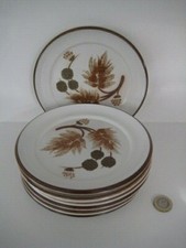 7 x DENBY POTTERY COTSWOLD RUSTIC RETRO DESIGN TEA SIDE PLATES DINNER SERVICE