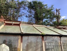 Cedar wood Greenhouse
