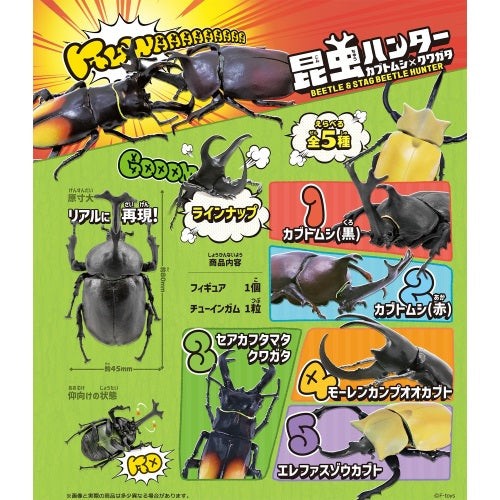 Insect hunter beetle stag - x,