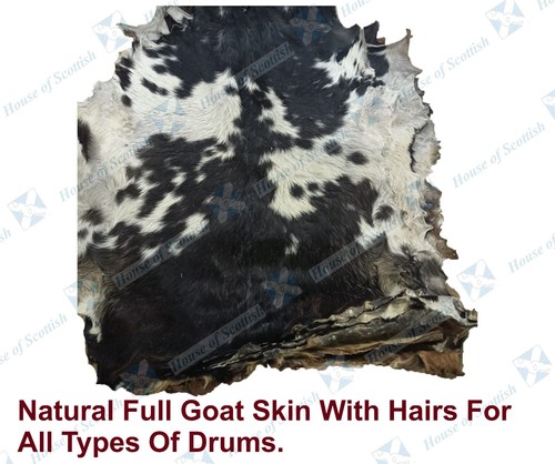 Full animal goat - goat, skins