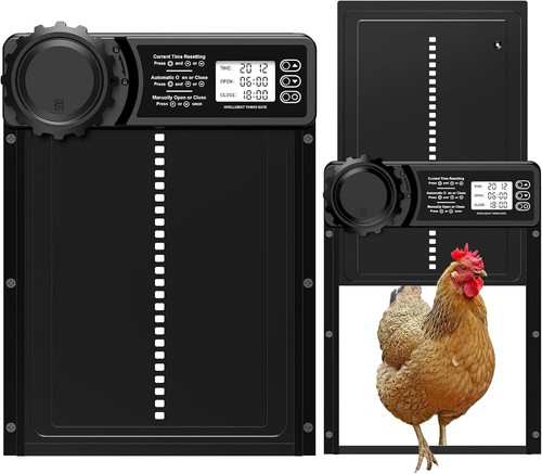 Automatic chicken coop door - chicken,