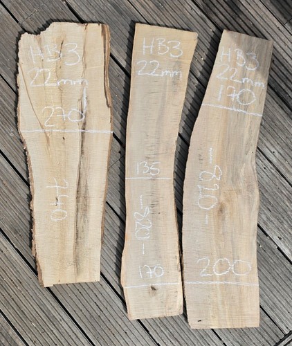 Hornbeam live edge - hornbeam,