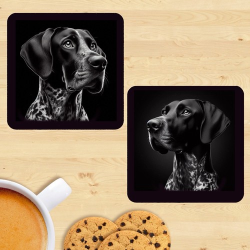 German shorthaired pointer - german,