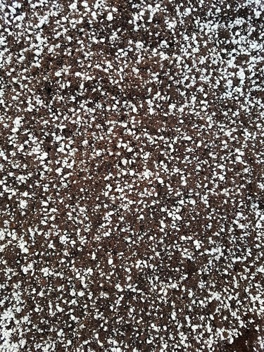 Premium grade carnivorous - grade,