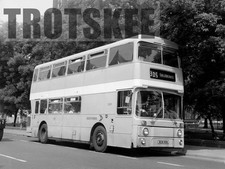 Larger Negative Northern