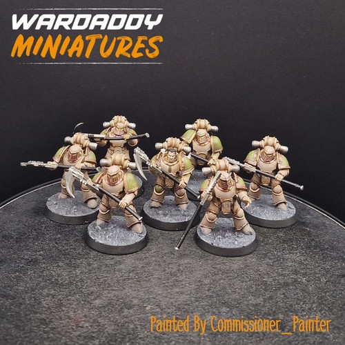Pro painted warhammer - warhammer, 40k