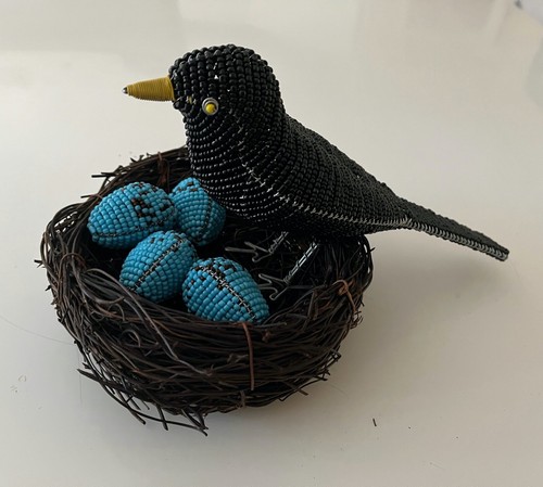 Blackbird nest eggs hand - /, /eggs-