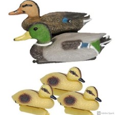 Floating Duck Family Decoy Pack, Includes Male & Female Mallards and 3 Ducklings