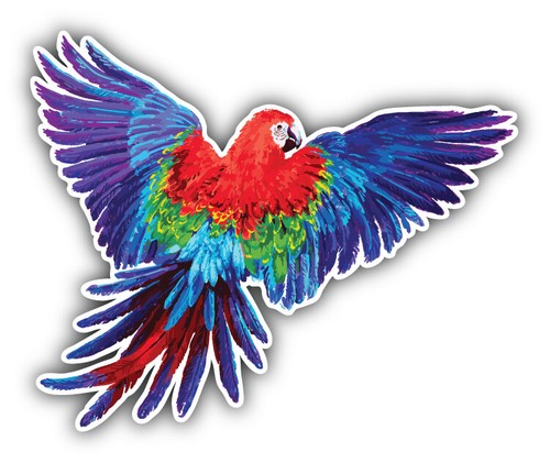 Macaw parrot watercolor car - macaw,
