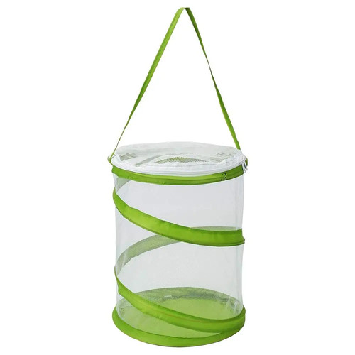 Butterfly net - butterfly, net,