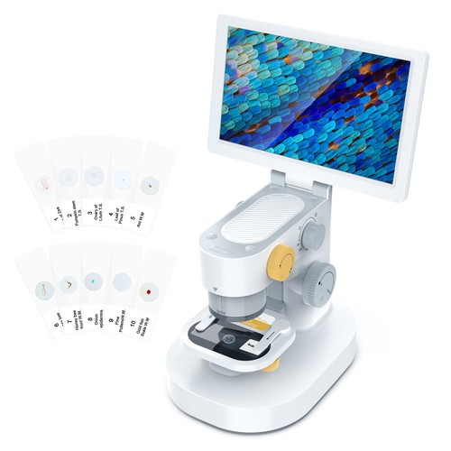 Biological digital - t1,