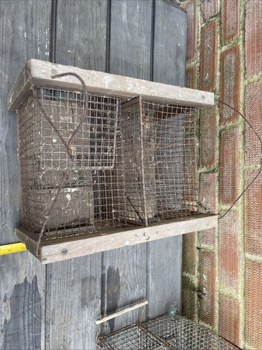 Vintage goldfinch trap catch - goldfinch,